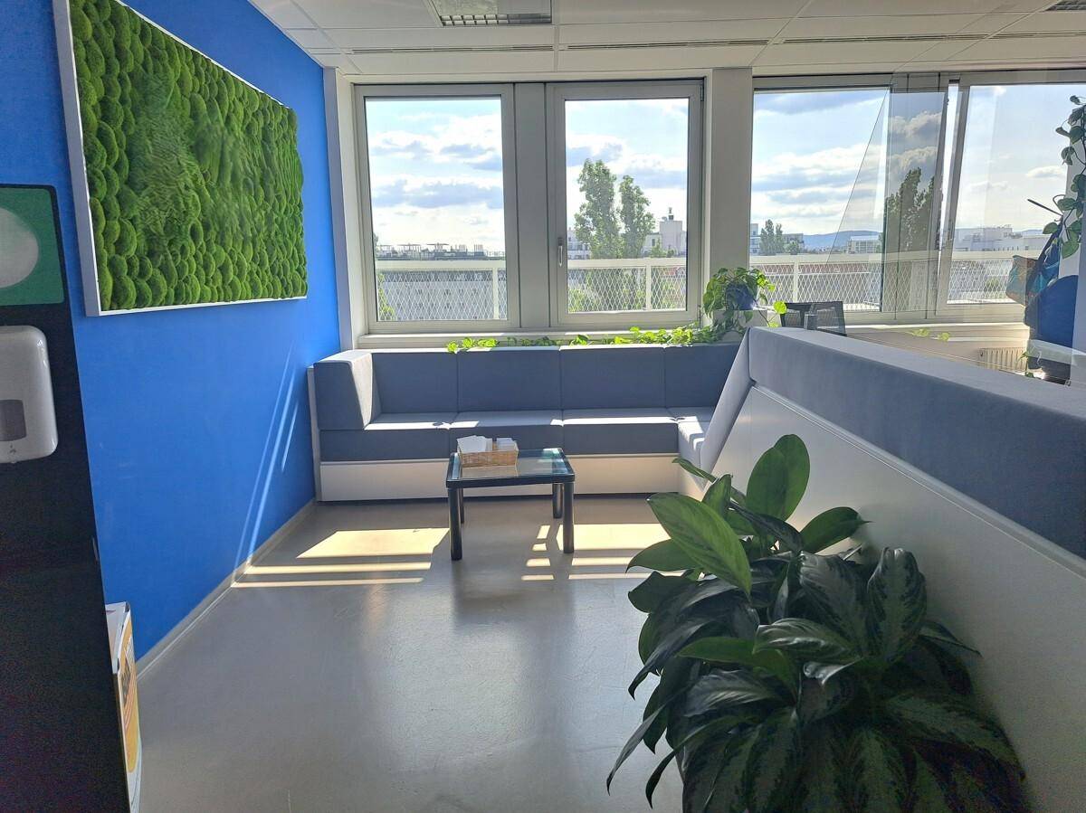 Heller Loungebereich mit blauer Wand, grüner Mooswand und bequemen Sitzgelegenheiten am Fenster.