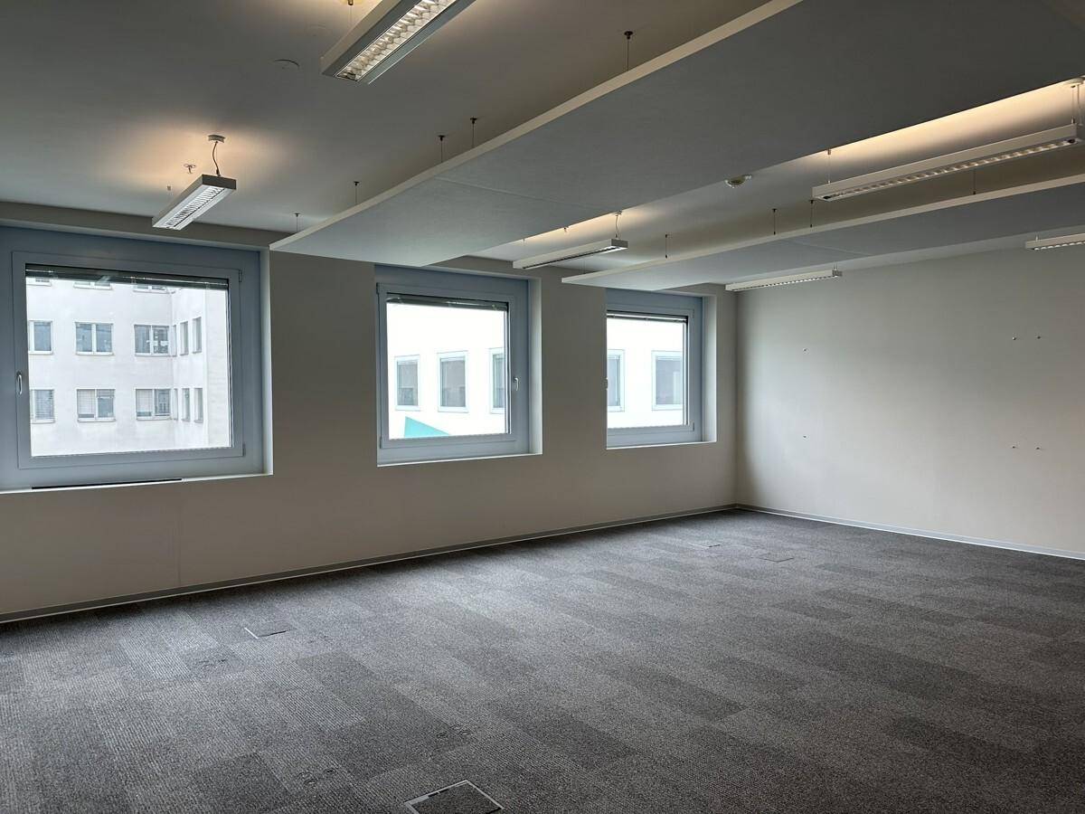 Heller Büroraum mit drei Fenstern, grauem Teppichboden und abgehängten Akustikdeckenplatten.