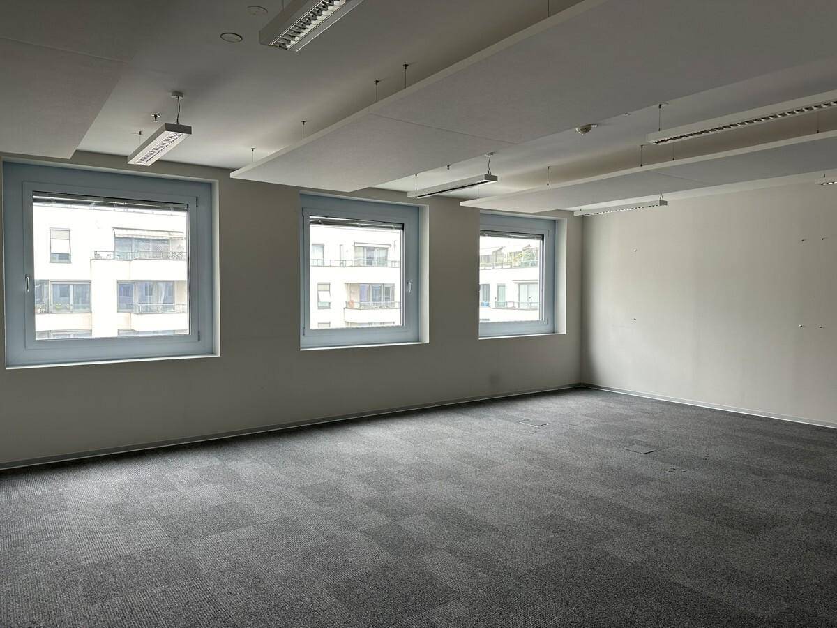 Leerer Büroraum mit drei Fenstern, die viel Tageslicht hereinlassen, und grauem Teppichboden.