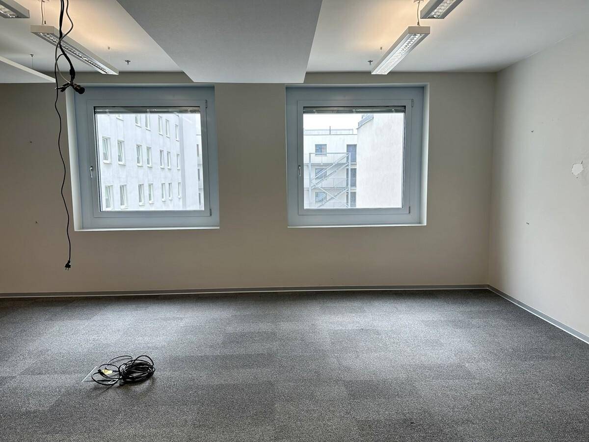Heller Büroraum mit zwei großen Fenstern, grauem Teppichboden und abgehängter Decke.