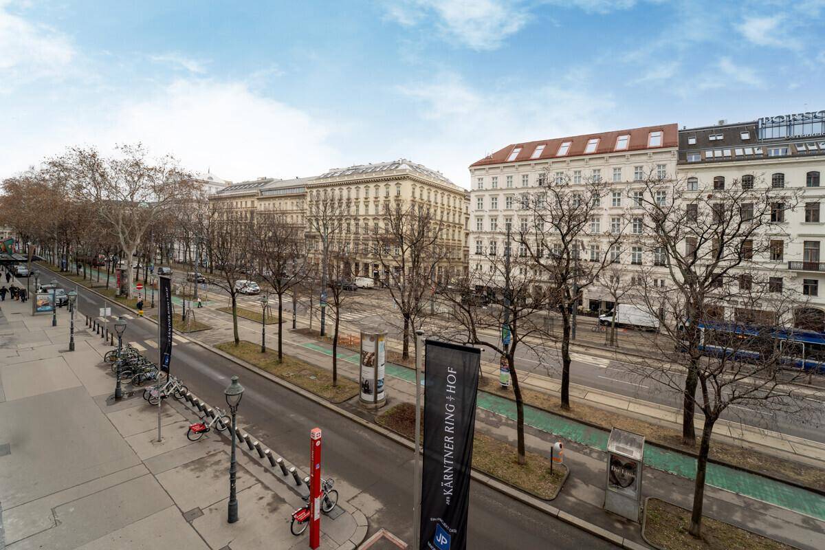 Weitläufiger Blick auf eine belebte Stadtstraße mit Bäumen und historischen Gebäuden.