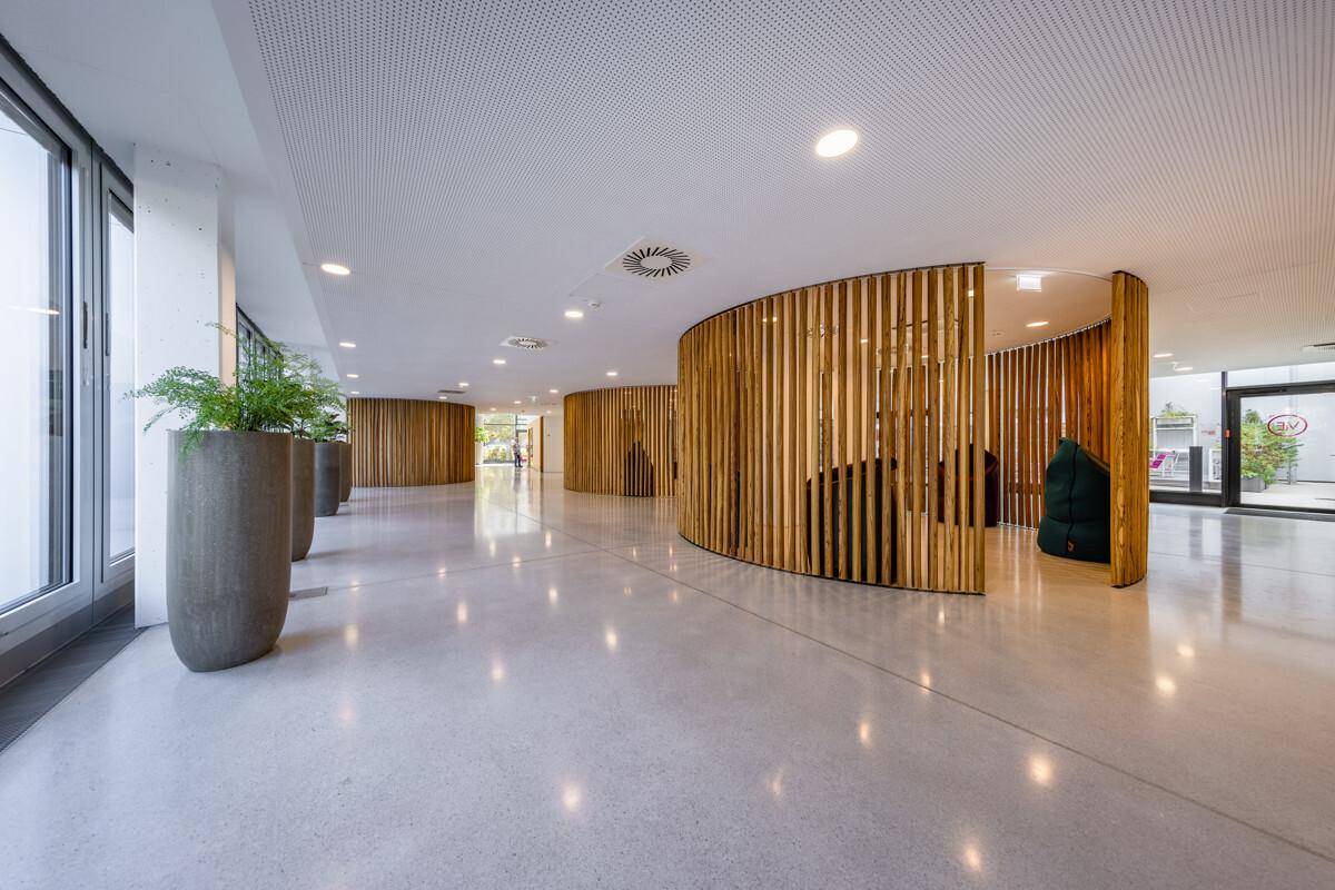 Moderner Empfangsbereich mit Holzelementen, großen Fenstern und Pflanzen in hohen Pflanzgefäßen.