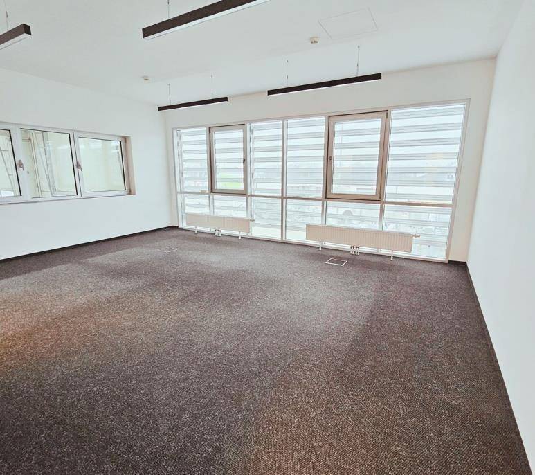 Leeres Büro mit Teppichboden, großen Fenstern mit Jalousien und moderner Deckenbeleuchtung.