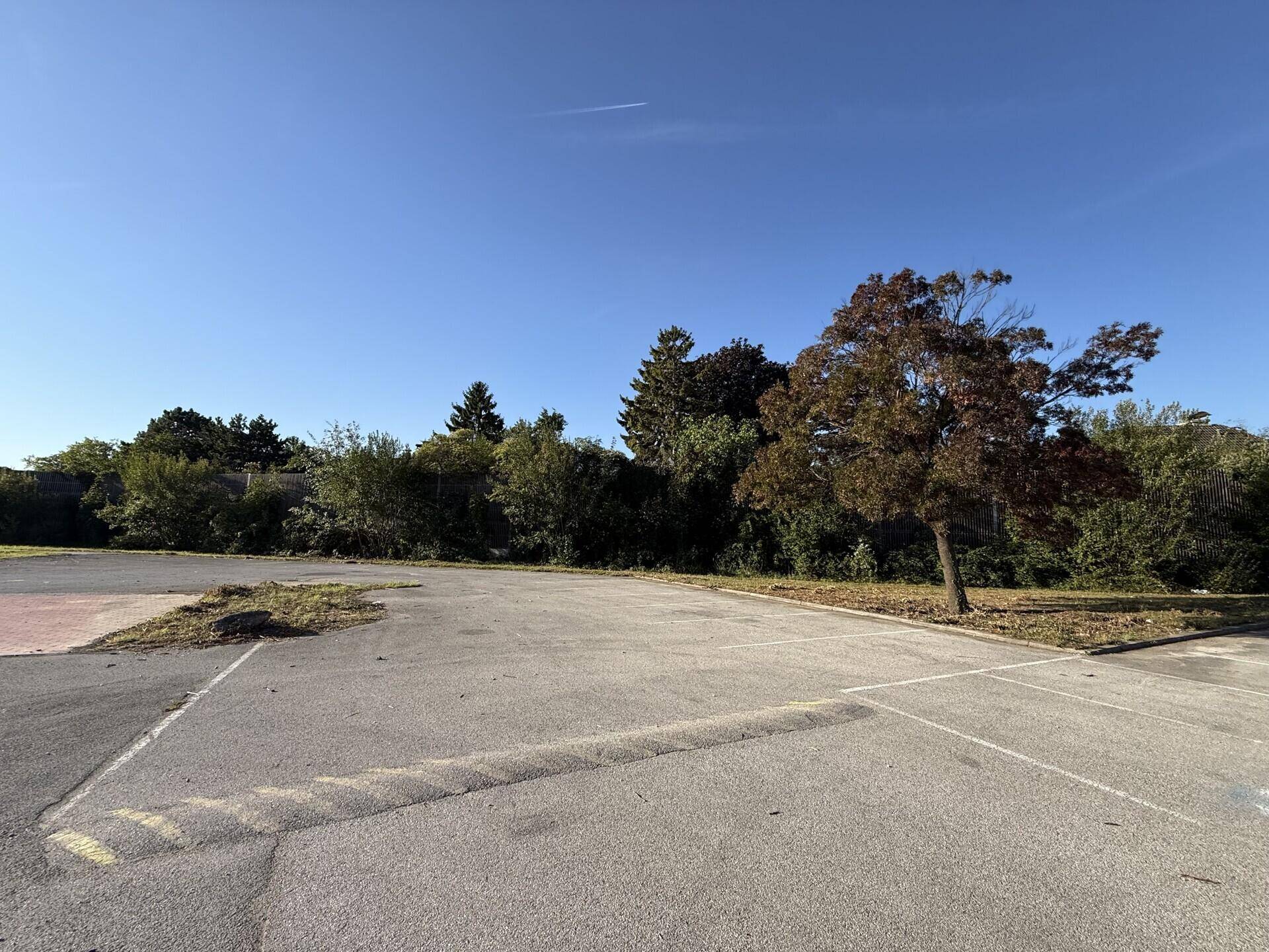 Eine weitere Ansicht des leeren Parkplatzes mit Asphaltboden, umgeben von dichter Vegetation und einem Baum.