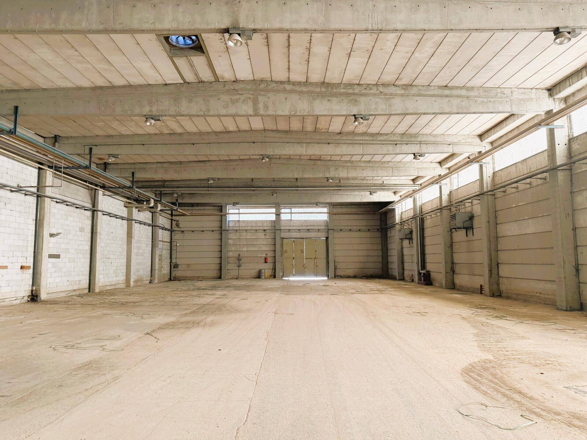Geräumige Lagerhalle mit hohen Decken, Betonboden und Oberlichtern für natürliches Licht.