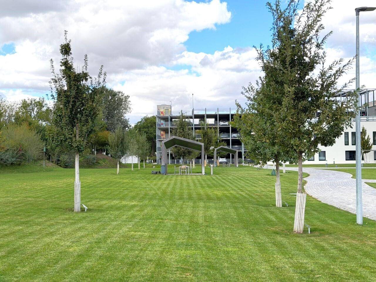 Weitläufige Rasenfläche mit jungen Bäumen und einem Parkhaus in der Ferne.