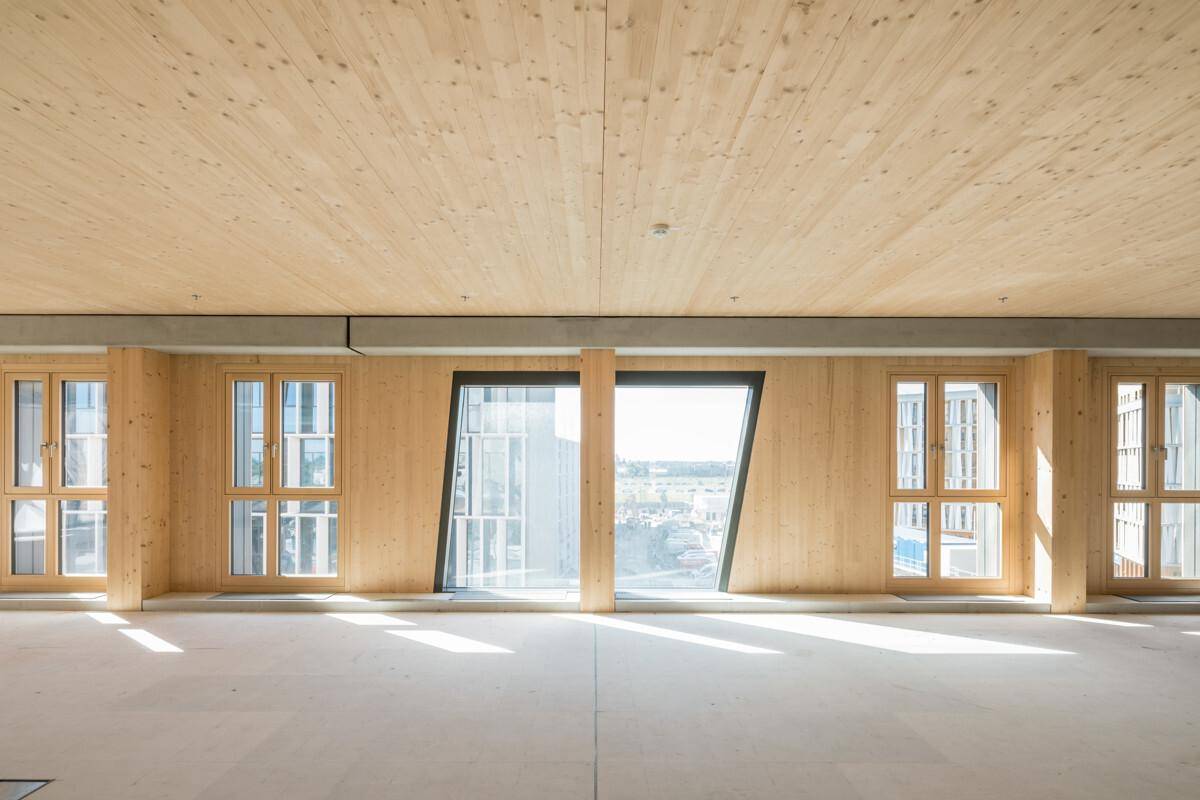 Heller, leerer Raum mit Holzwänden und -decken sowie großen Fenstern, die viel Tageslicht hereinlassen.