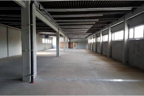 Weitläufiger, heller Gewerberaum mit Betonboden, tragenden Säulen und durchgehenden Fensterreihen.