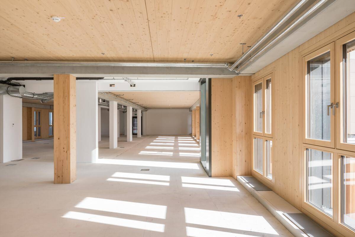 Weitläufiger, heller Raum mit Holzwänden, Betonstützen und großen Fenstern, die den Raum mit Licht durchfluten.