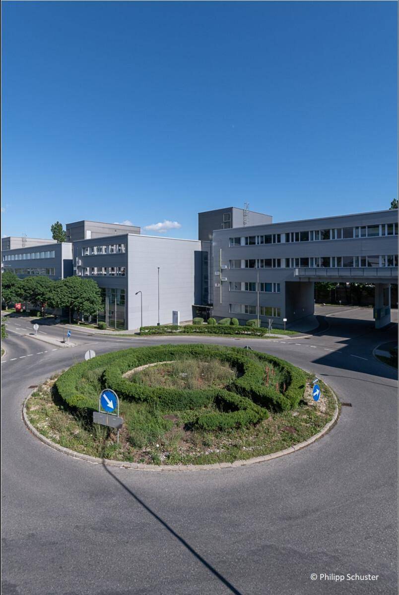 Luftaufnahme eines Kreisverkehrs mit gepflegter Hecke und modernen Bürogebäuden im Hintergrund unter blauem Himmel.