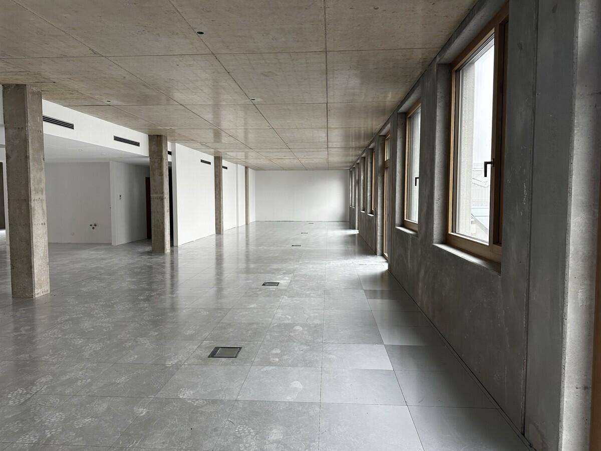 Großer, offener Büroraum mit Betonwänden und -decken sowie vielen Fenstern für natürliches Licht.