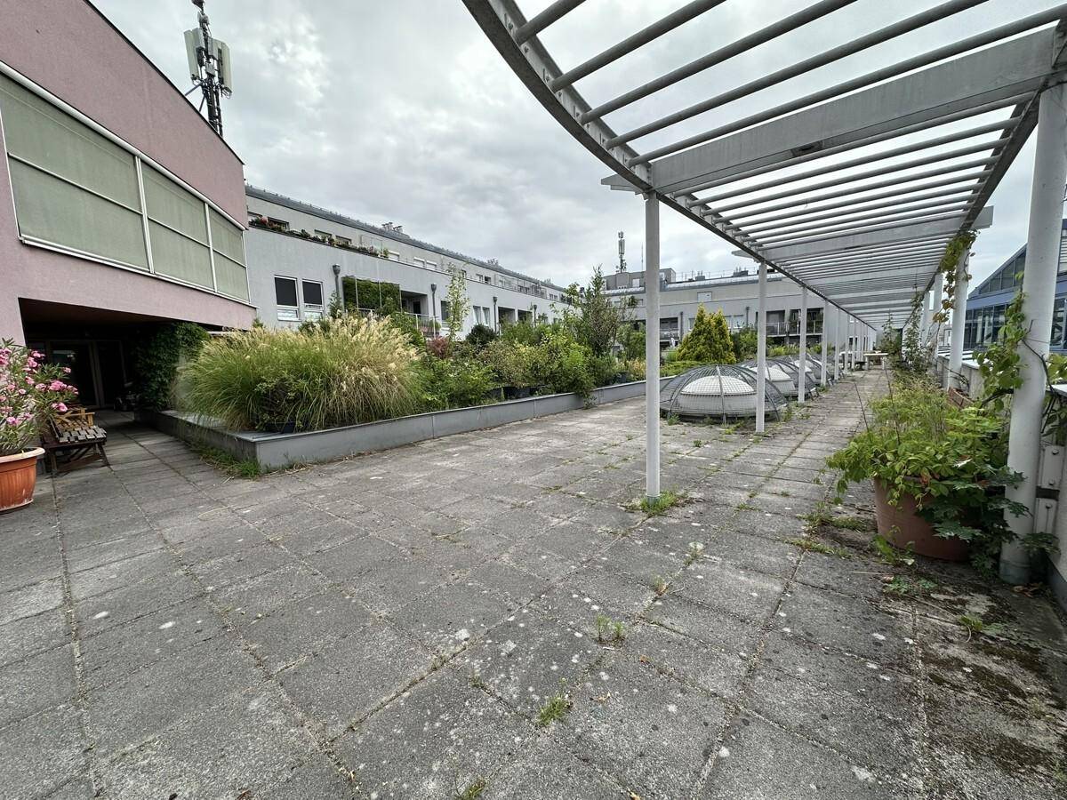 Weitläufige Dachterrasse mit Pergola, Pflanzbeeten und Blick auf die umliegenden Gebäude.