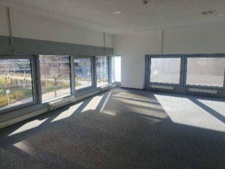 Heller, leerer Büroraum mit Teppichboden und großen Fensterfronten, die viel Sonnenlicht hereinlassen.