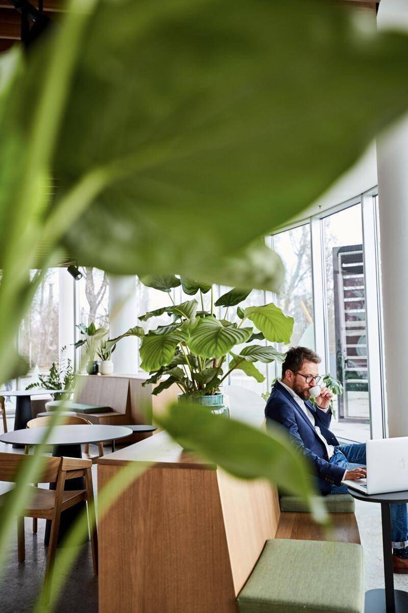 Gemütlicher Café-Bereich mit Holzbänken, Pflanzen und einem Mann, der an einem Laptop arbeitet.