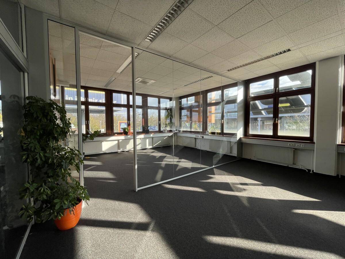 Helles Büro mit Glaswand, Teppichboden und einer Zimmerpflanze, die für eine angenehme und grüne Note sorgt.