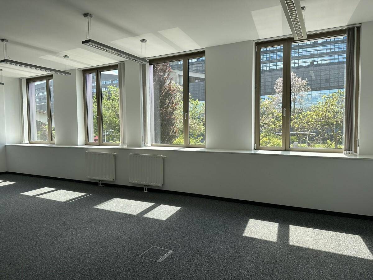 Heller Büroraum mit grauen Teppichböden, großen Fenstern und Blick ins Grüne.