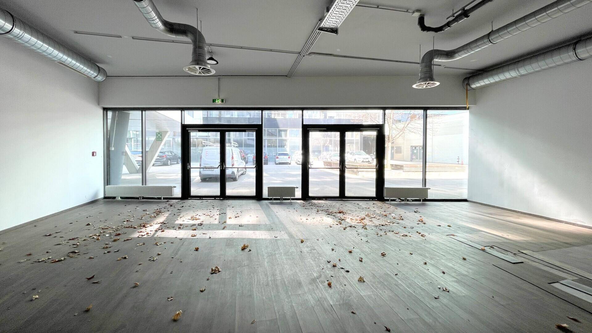 Heller Gewerberaum mit großen Fensterfronten, sichtbaren Lüftungsrohren und Laub auf dem dunklen Boden.