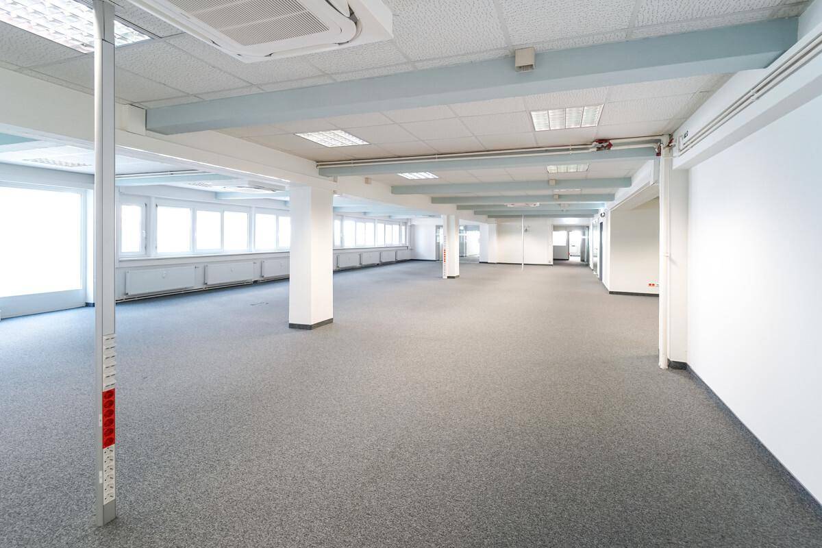 Großer, leerer Büroraum mit grauem Teppichboden, vielen Fenstern und sichtbaren blauen Deckenbalken.
