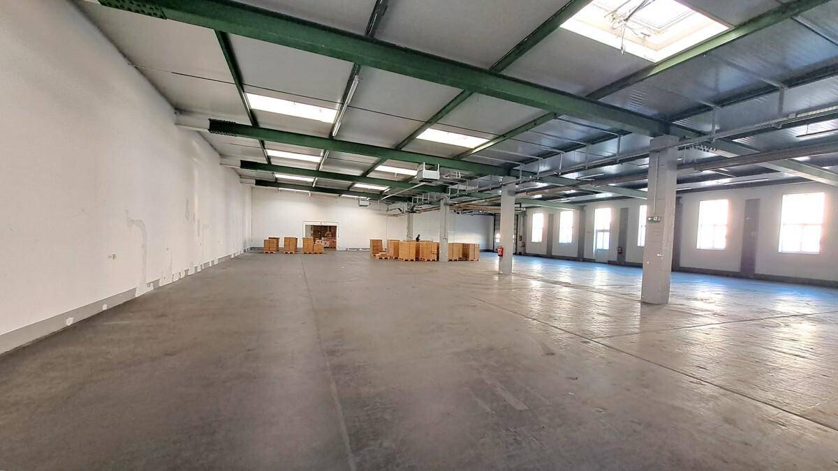 Geräumige Lagerhalle mit vielen Fenstern, Oberlichtern und einer weiten, offenen Fläche, ideal für Logistik.
