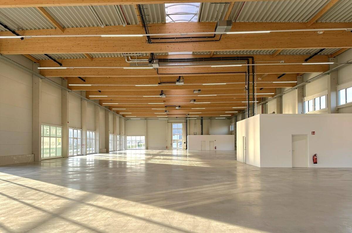 Weitläufige, helle Lagerhalle mit Holzdachkonstruktion und viel Tageslicht durch große Fenster.