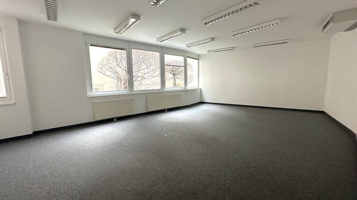 Großer, heller Büroraum mit Teppichboden, weißen Wänden und einer Reihe von Fenstern, die viel Licht spenden.