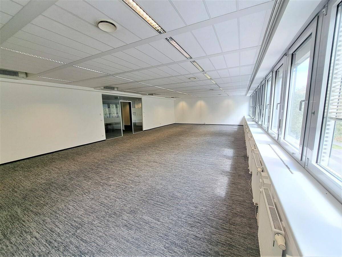 Großes, leeres Büro mit Teppichboden, durchgehender Fensterfront und abgehängter Decke.
