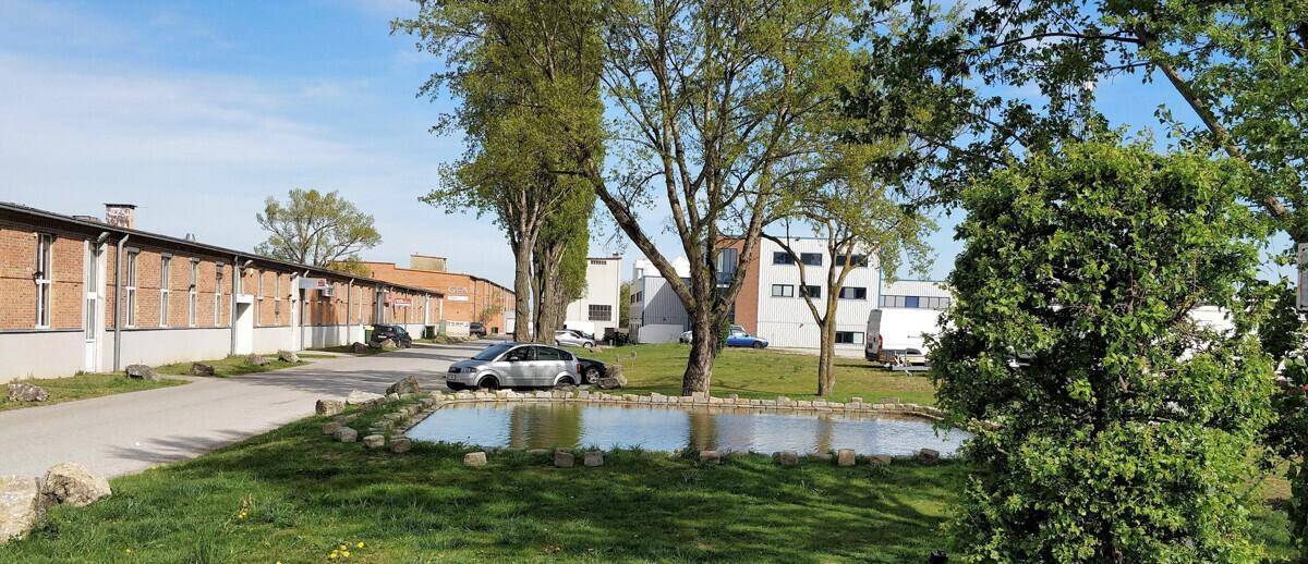 Grüne Umgebung mit Bäumen, einem kleinen Teich und einem Gebäude im Hintergrund unter blauem Himmel.