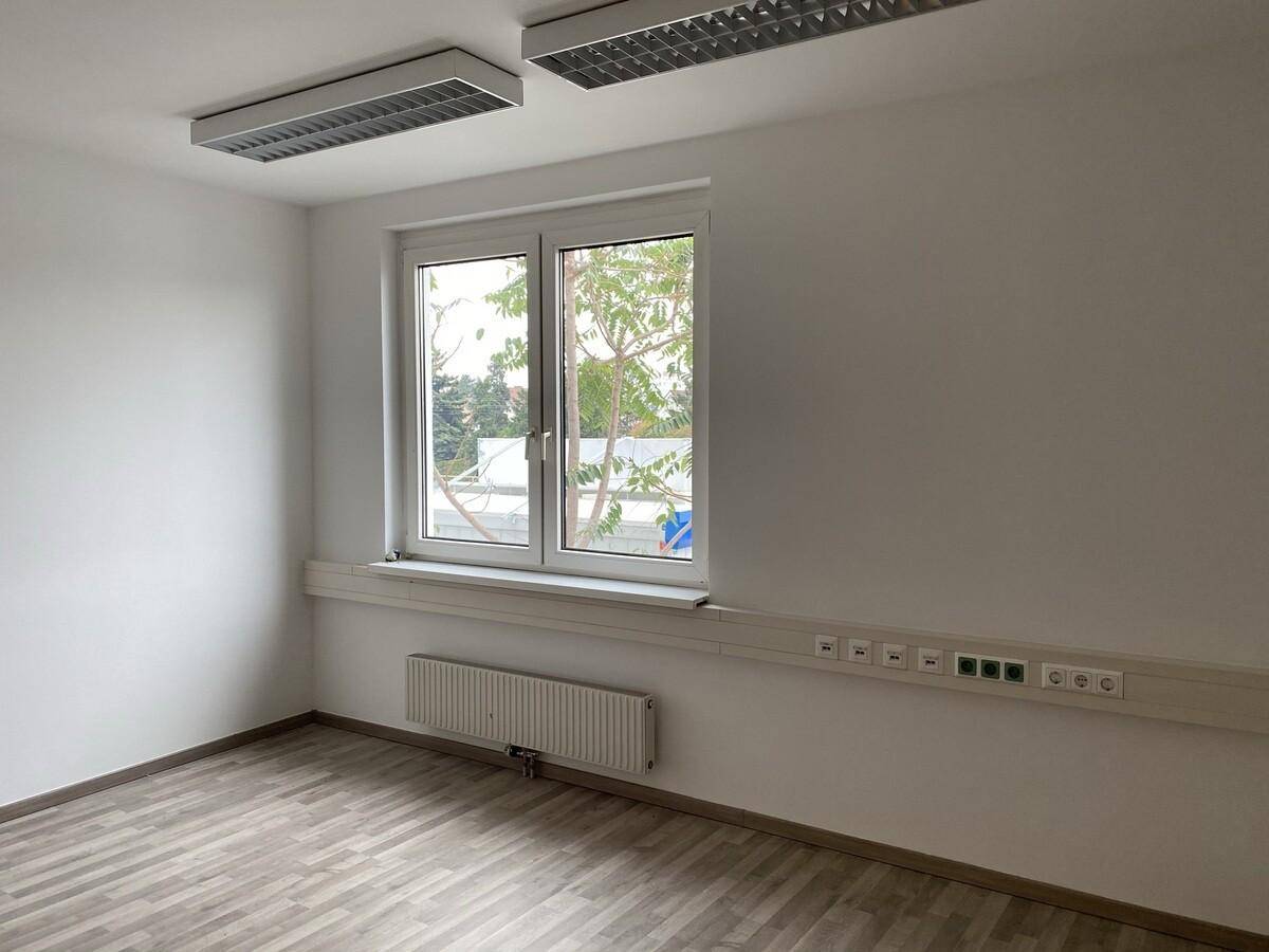 Heller Büroraum mit Holzparkettboden, großem Fenster und Blick ins Grüne, ausgestattet mit Heizkörper.