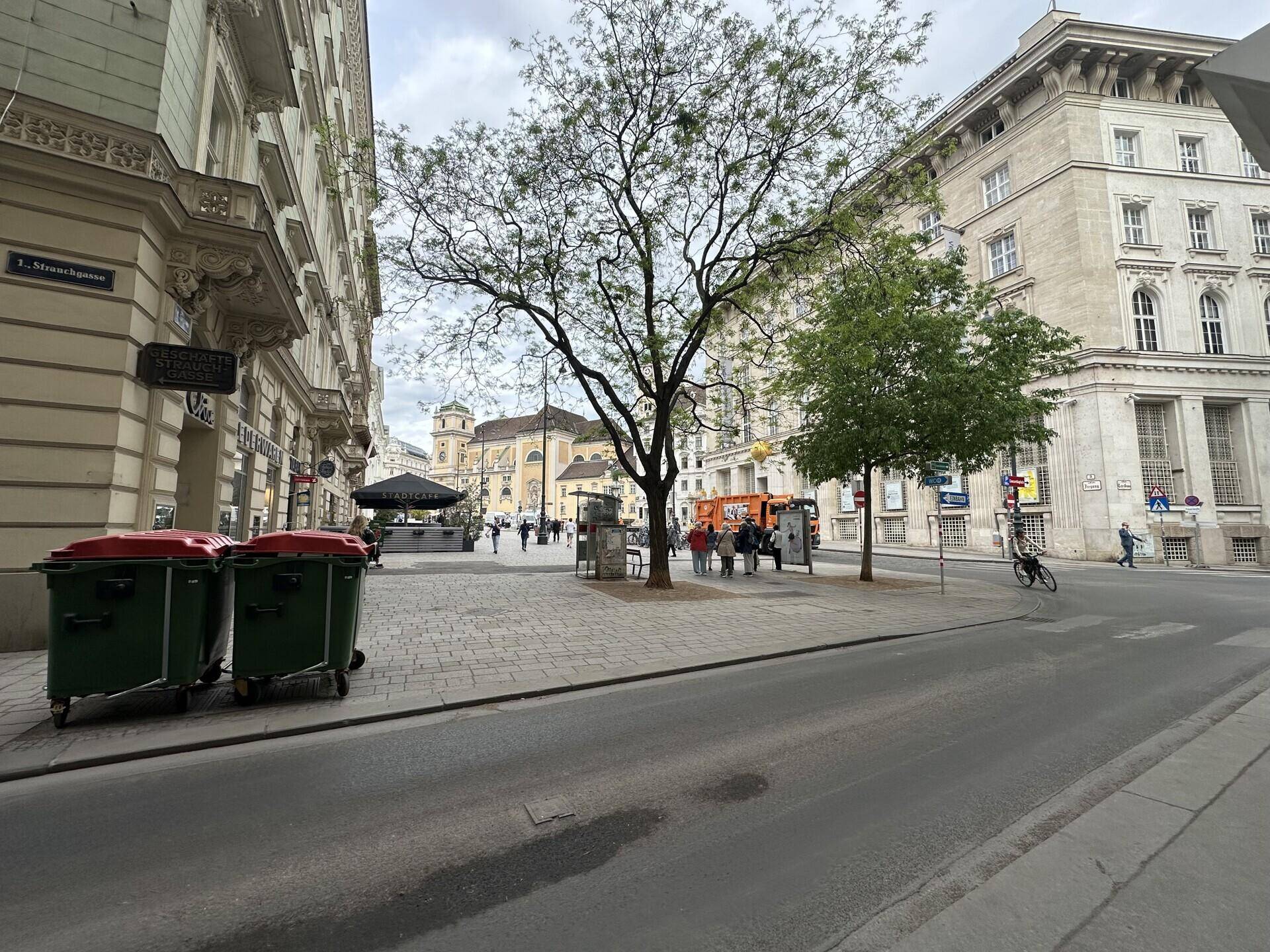 Belebter Stadtplatz mit Bäumen, historischen Gebäuden und Passanten an einem bewölkten Tag.