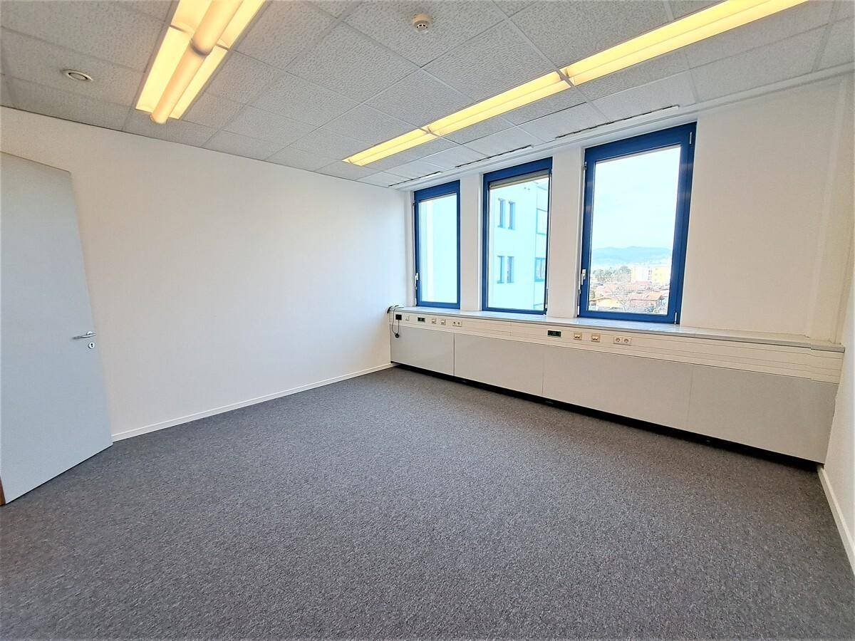 Geräumiges, helles Büro mit Teppichboden, weißen Wänden und blauen Fensterrahmen mit Blick nach draußen.