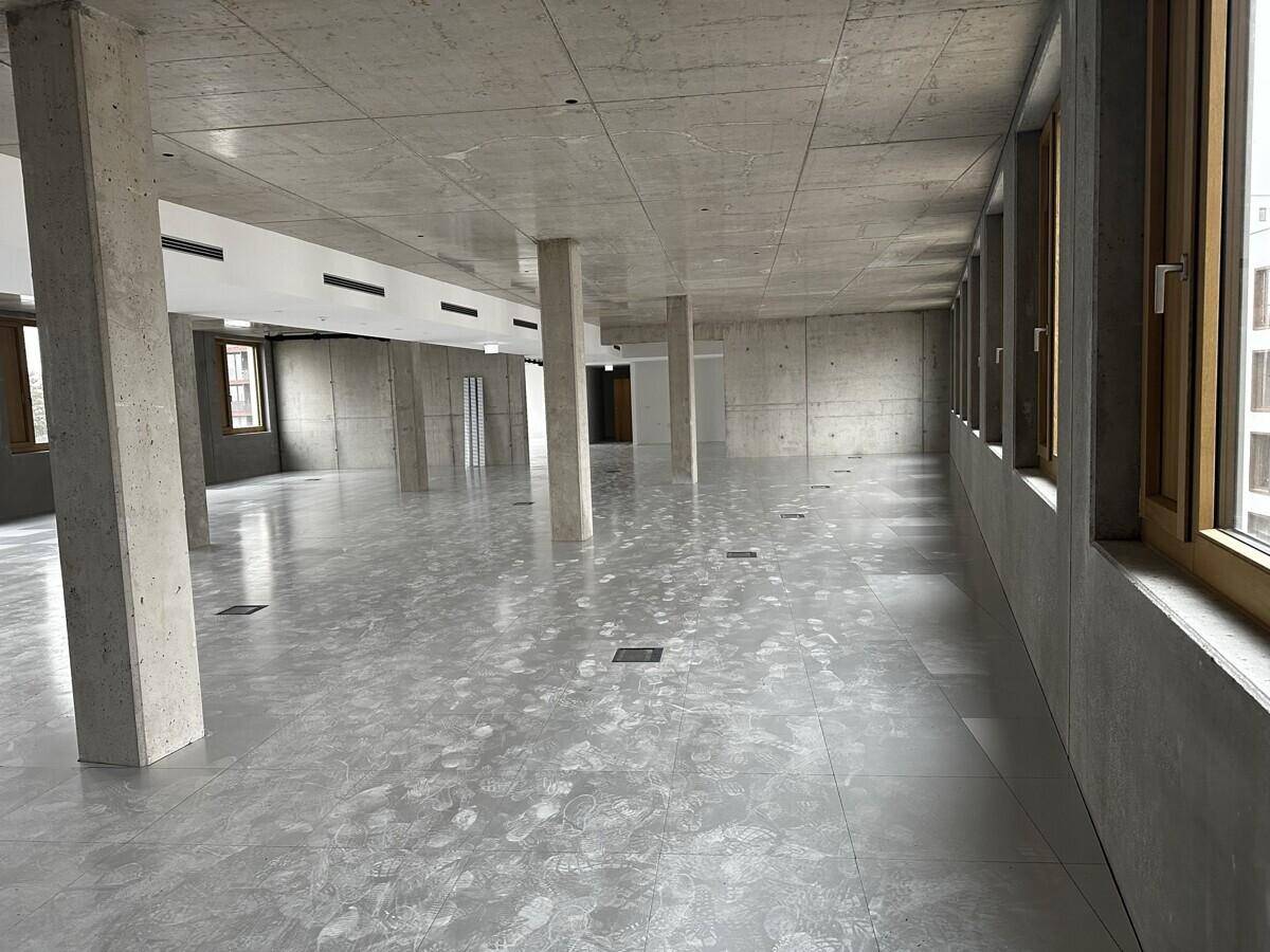 Geräumiger, offener Bürobereich mit Sichtbetonwänden und -säulen, durchflutet von Tageslicht.