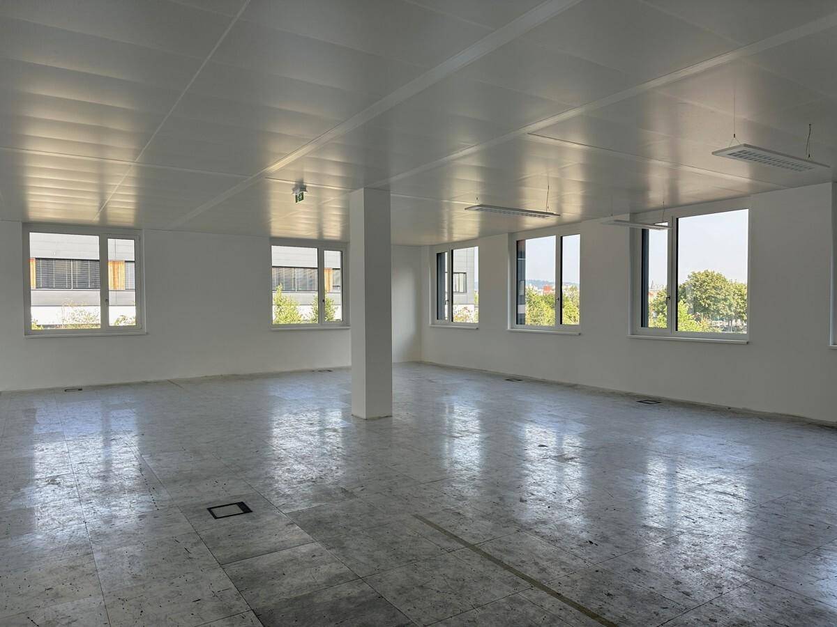 Heller, leerer Büroraum mit vielen Fenstern, abgehängter Decke und Blick ins Grüne.