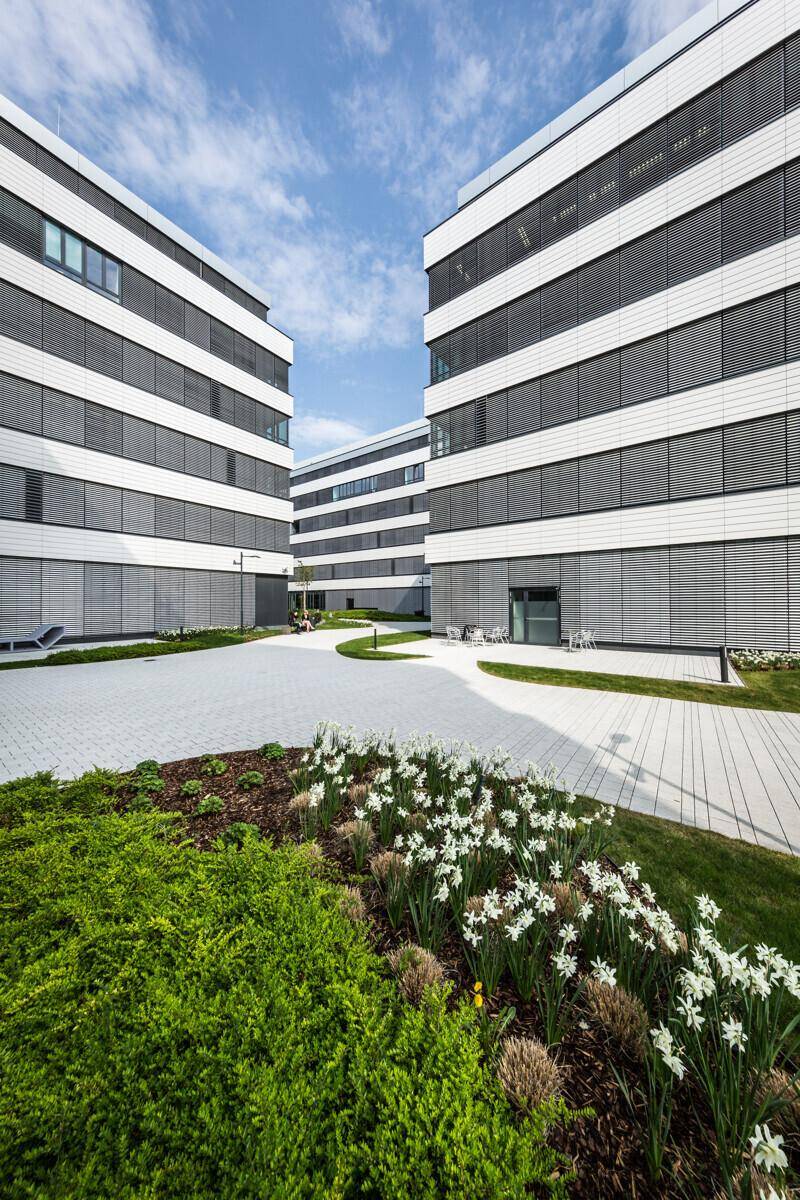 Geschwungener Weg durch eine Grünanlage mit weißen Blumen zwischen modernen Bürogebäuden.