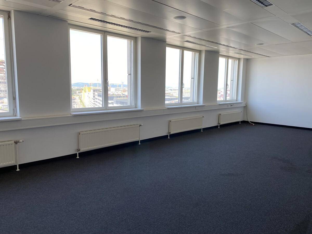 Heller, leerer Büroraum mit Teppichboden und vielen Fenstern für natürliches Licht.