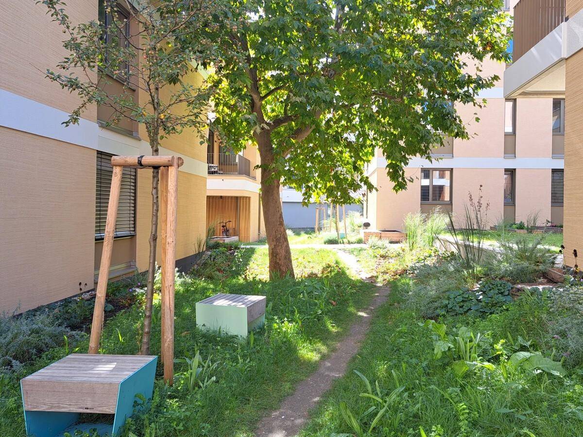 Ruhiger Gartenbereich zwischen den Gebäuden mit Bäumen, Sträuchern und einem kleinen Pfad.