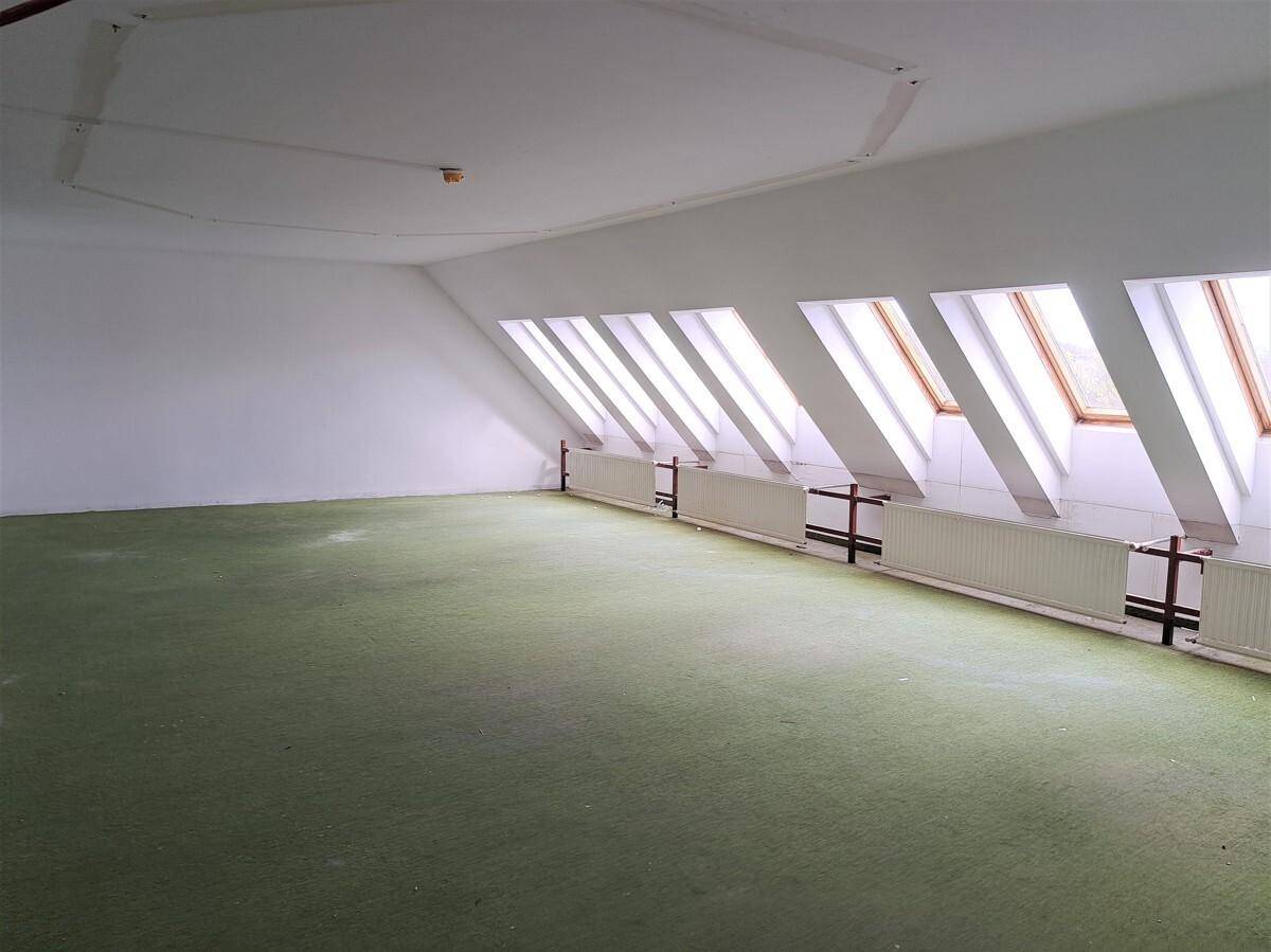 Dachgeschossraum mit schrägen Wänden, mehreren Dachfenstern und grünem Teppichboden, ideal für ein Büro.