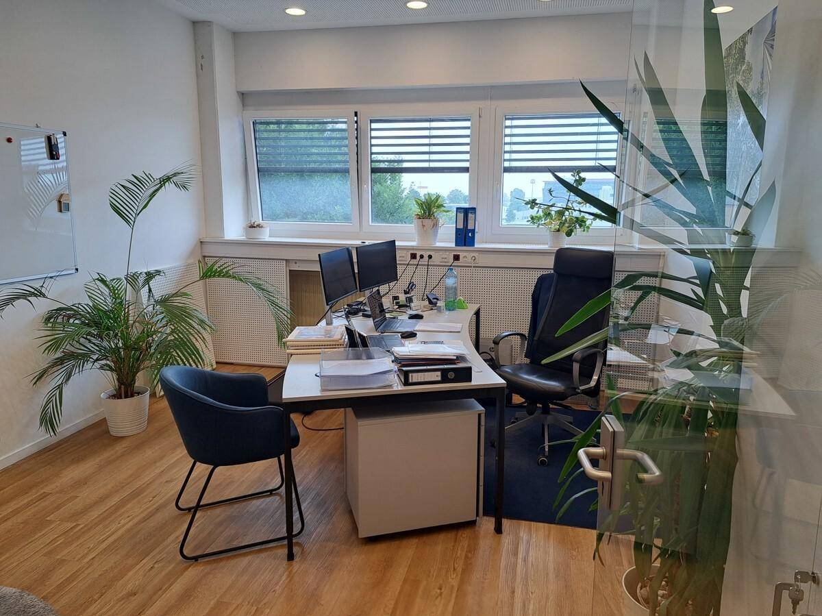 Helles Büro mit großem Fenster, Schreibtisch, Bürostühlen und grünen Pflanzen.