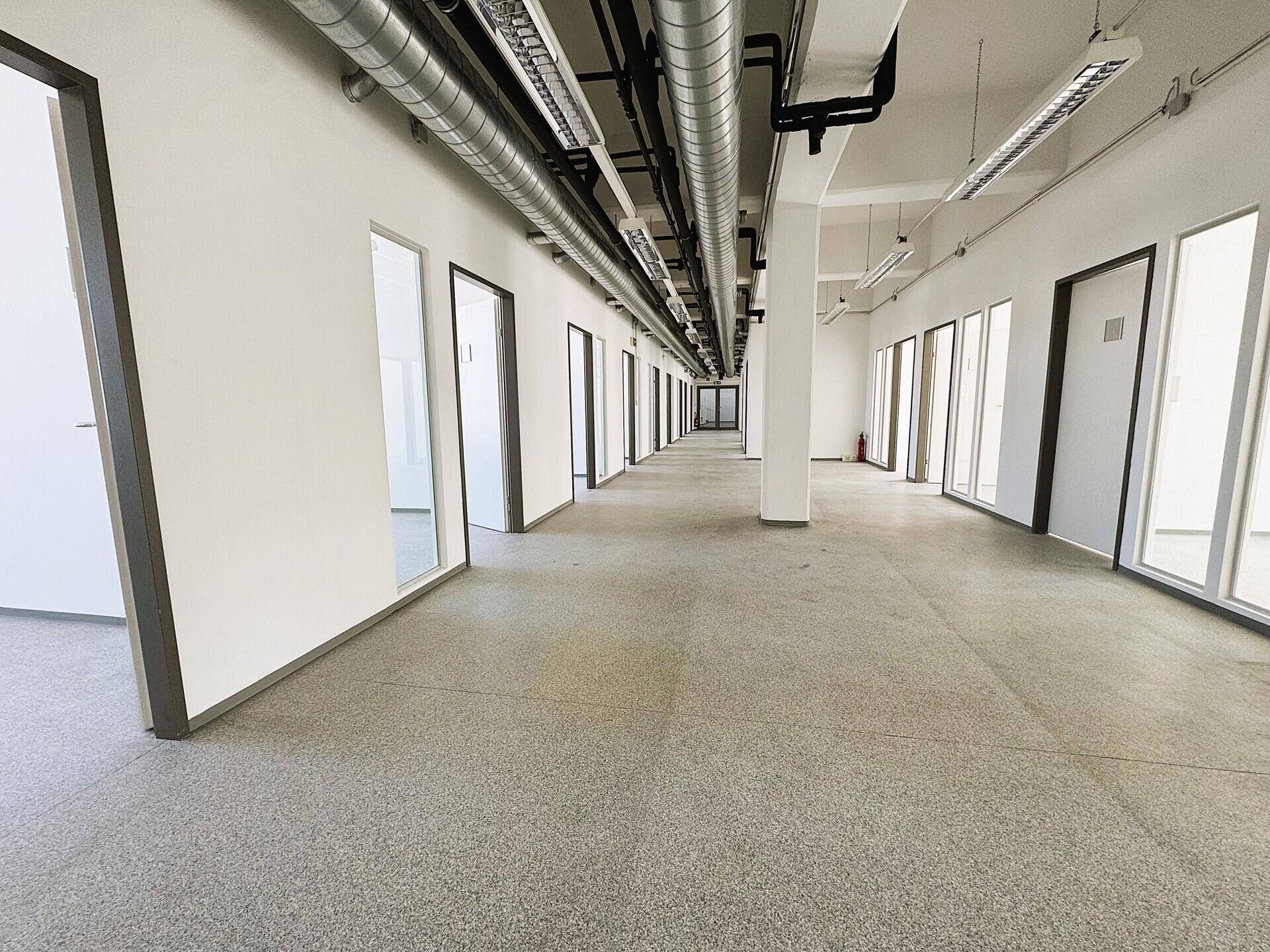 Langer Büroflur mit vielen Glastüren zu den einzelnen Büros und einem Teppichboden.