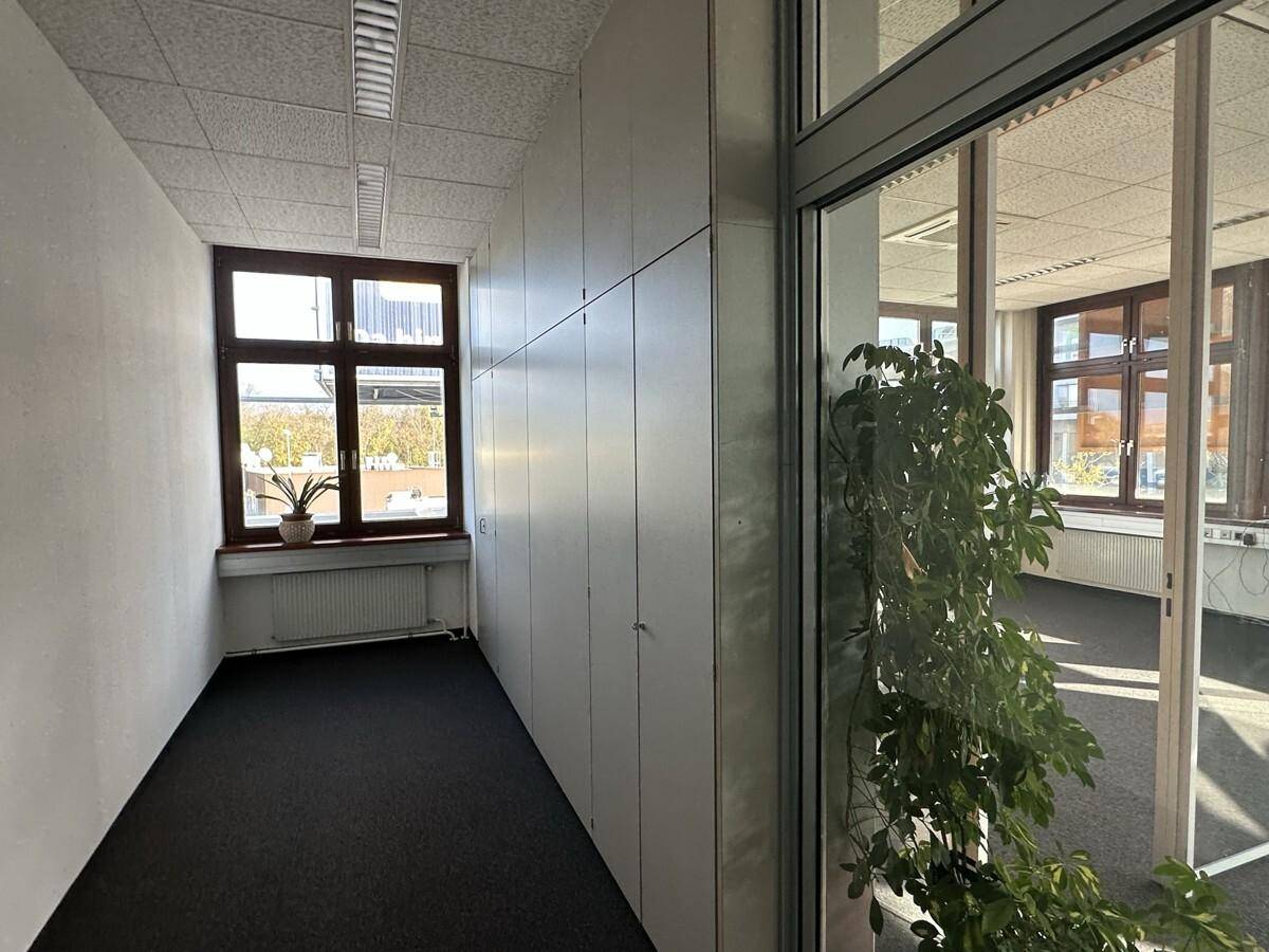 Heller Flur mit Einbauschränken, Teppichboden und einem Fenster, das einen angenehmen Blick ins Grüne bietet.