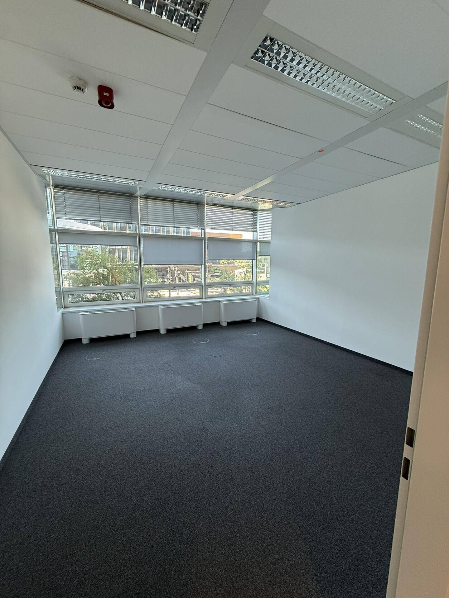 Helles, leeres Büro mit Teppichboden und breiten Fenstern, die viel Tageslicht hereinlassen.