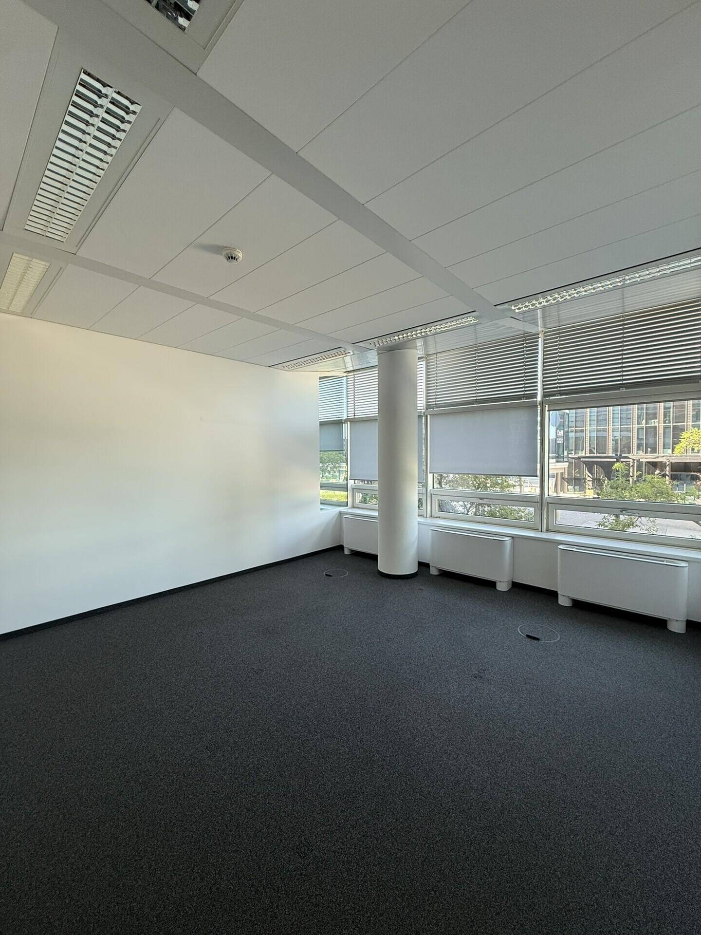 Leeres Büro mit Teppichboden, großen Fenstern und abgehängter Decke, bereit für die individuelle Gestaltung.