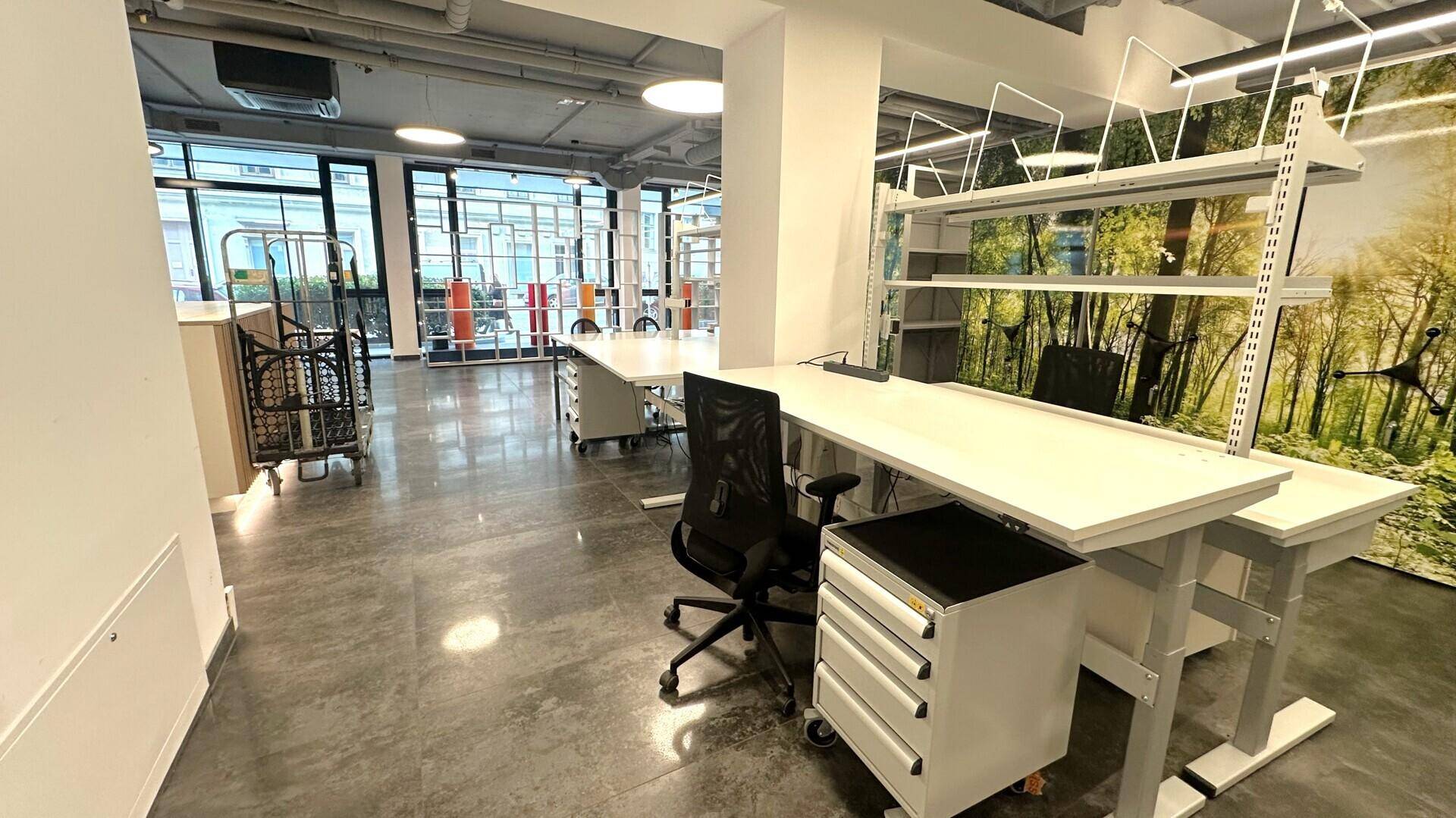 Heller Bürobereich mit modernen Schreibtischen, ergonomischen Stühlen und Blick nach draußen durch große Fenster.