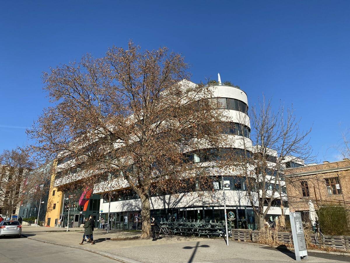 Gebäude mit geschwungener Fassade und großen Fensterfronten, umgeben von Bäumen unter blauem Himmel.
