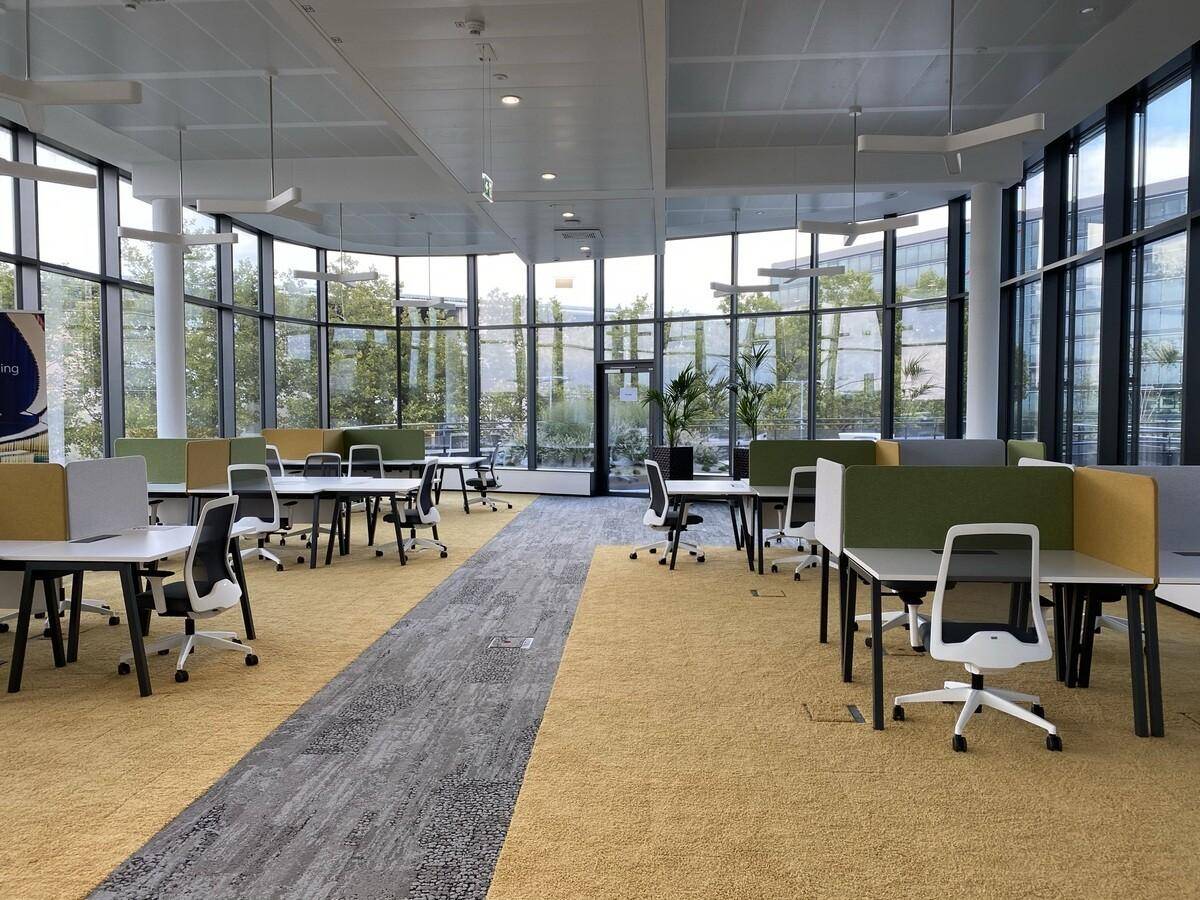 Großraumbüro mit vielen Arbeitsplätzen, Teppichboden und großen Fenstern.