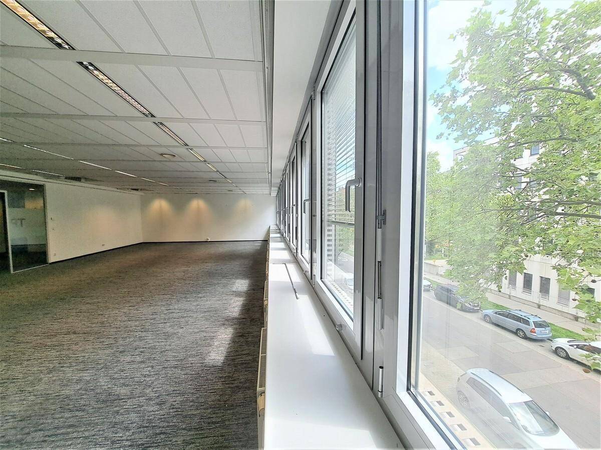 Büro mit langer Fensterfront, die einen Blick auf die Straße und grüne Bäume bietet.