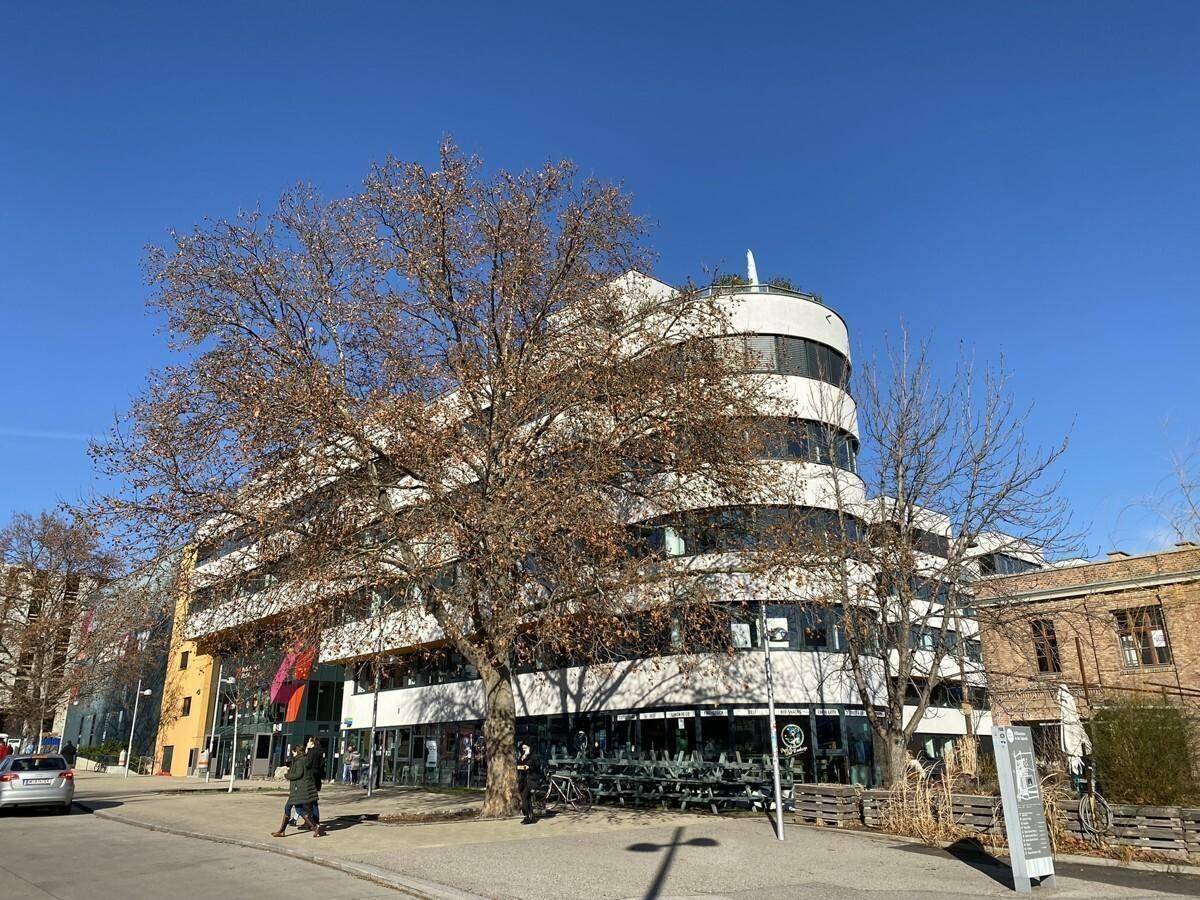 Modernes Bürogebäude mit geschwungener Fassade und einem großen Baum im Vordergrund unter blauem Himmel.