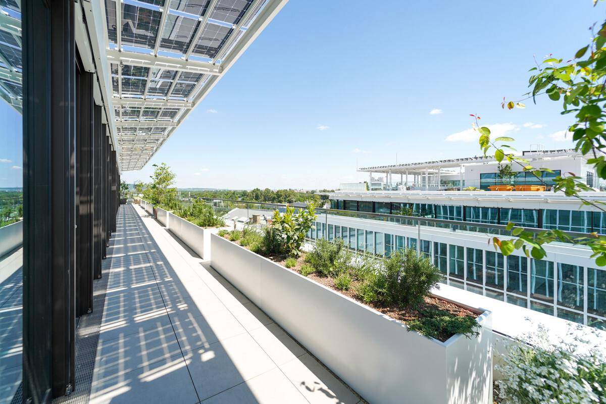Weitläufige Dachterrasse mit Bepflanzung und Solarpaneelen, die einen Panoramablick bietet.