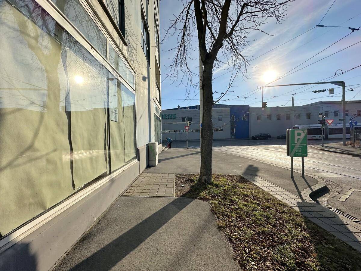 Seitenansicht des Gebäudes mit großen Fenstern und einem Baum am Straßenrand unter strahlendem Himmel.