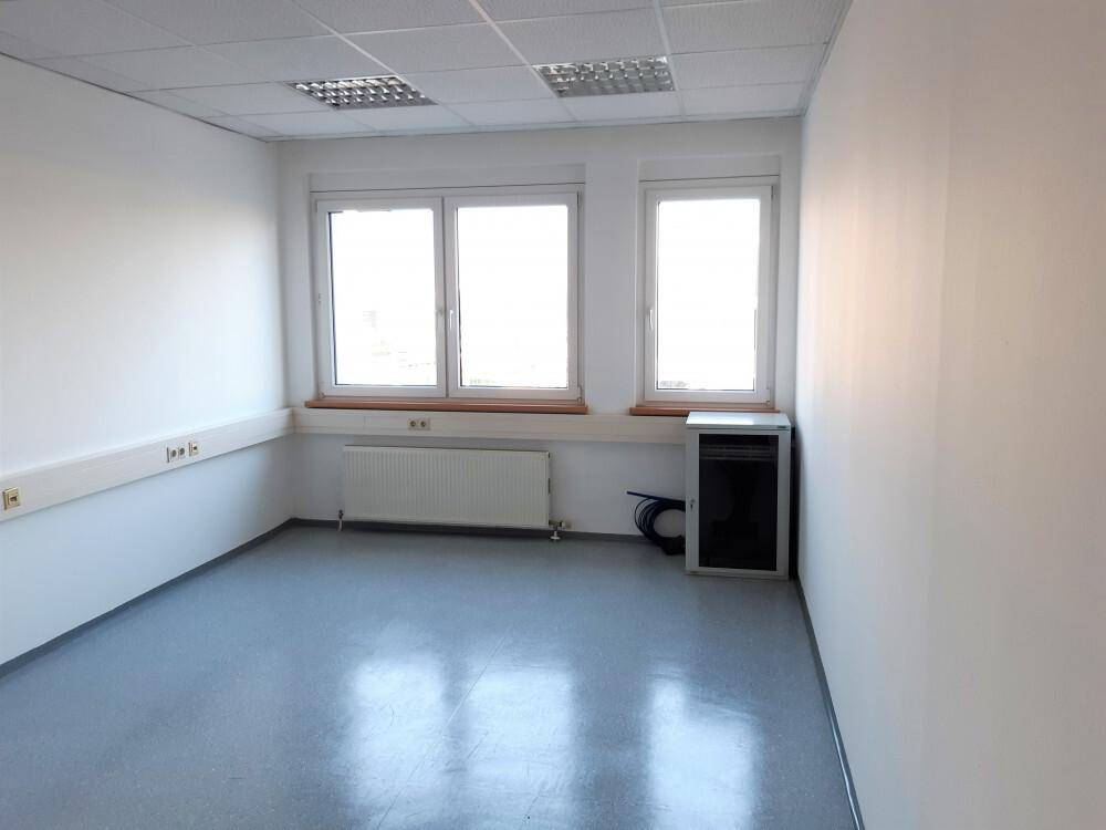 Leeres Bürozimmer mit grauem Vinylboden, weißen Wänden und zwei Fenstern mit Heizkörper.