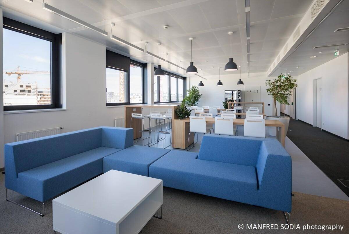 Heller und moderner Loungebereich mit blauen Sofas, hohen Fenstern und einem Essbereich im Hintergrund.